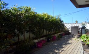 Dingli9